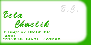 bela chmelik business card